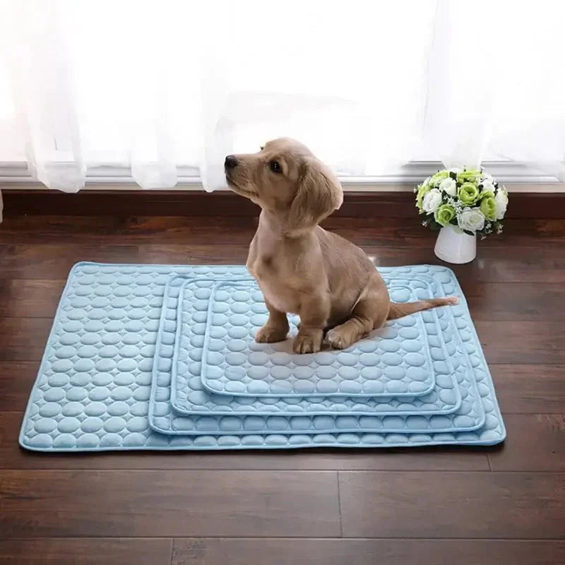 PawCool Ice Mat